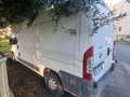 Fiat Ducato Bianco - thumbnail 2