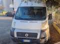 Fiat Ducato Bianco - thumbnail 1
