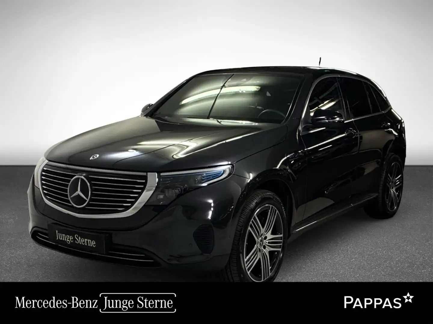Mercedes-Benz EQC 400 4MATIC Distr PTS SHD HUD Cam LED SHZ Grau - 1