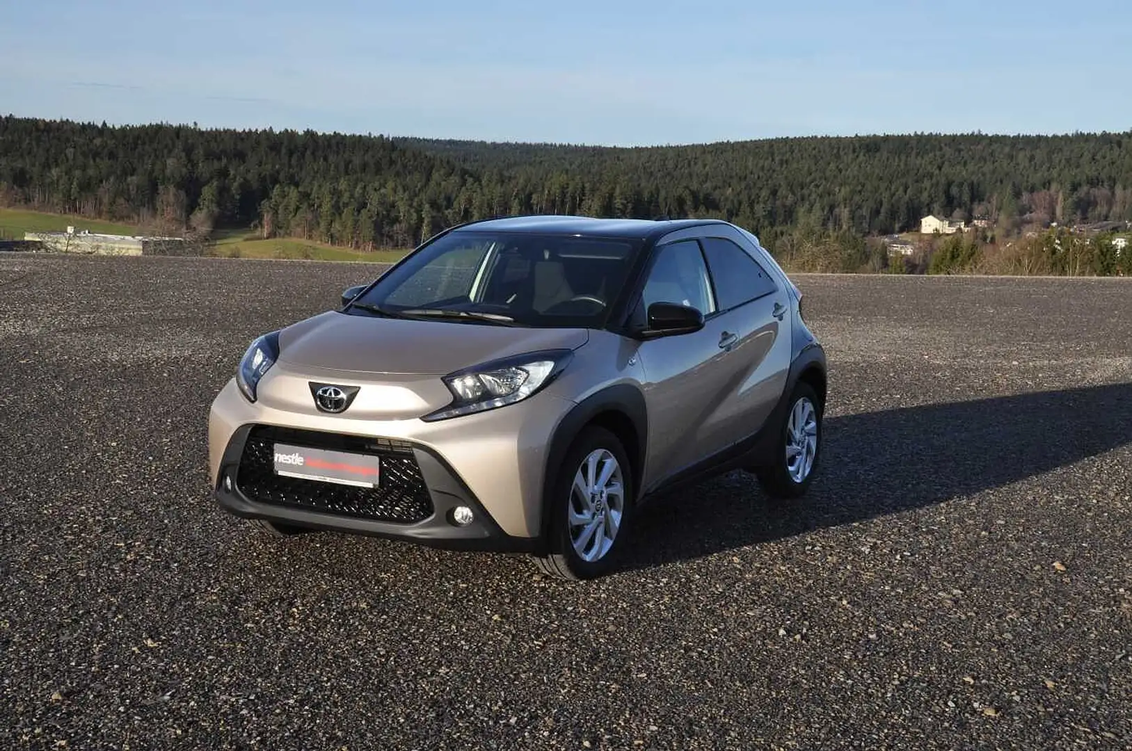 Toyota Sonstige Beige - 1