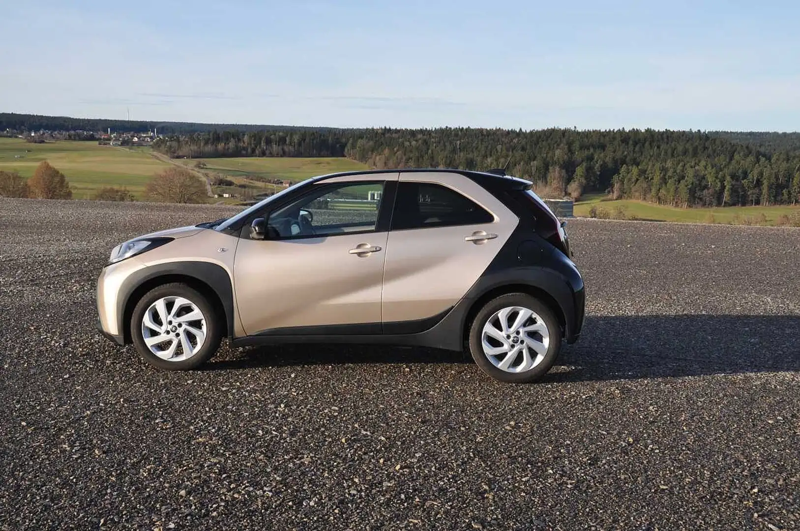 Toyota Sonstige Beige - 2