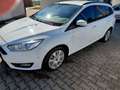 Ford Focus Focus Edition     Modell 2015 Tüv27 88920km Weiß - thumbnail 1