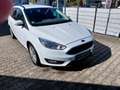 Ford Focus Focus Edition     Modell 2015 Tüv27 88920km Weiß - thumbnail 3
