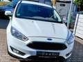 Ford Focus Focus Edition     Modell 2015 Tüv27 88920km Weiß - thumbnail 4