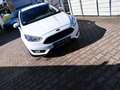 Ford Focus Focus Edition     Modell 2015 Tüv27 88920km Weiß - thumbnail 5