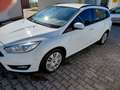 Ford Focus Focus Edition     Modell 2015 Tüv27 88920km Weiß - thumbnail 6
