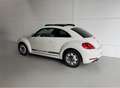 Volkswagen Beetle 1.2 TSI Design 105 Blanco - thumbnail 7