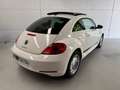 Volkswagen Beetle 1.2 TSI Design 105 Blanco - thumbnail 6