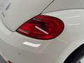 Volkswagen Beetle 1.2 TSI Design 105 Blanco - thumbnail 36