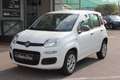 Fiat Panda FIAT PANDA NAT. POWER NEOPATENTATI!! Bianco - thumbnail 1