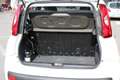 Fiat Panda FIAT PANDA NAT. POWER NEOPATENTATI!! Bianco - thumbnail 15