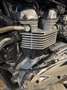 Triumph Bonneville T100 SIDECAR 4 posti - thumbnail 15