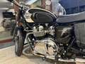 Triumph Bonneville T100 SIDECAR 4 posti - thumbnail 5