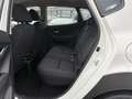 Hyundai iX20 1.4 Cross Klima, Radio, USB, BT, PDC hinten Bianco - thumbnail 8