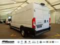 Fiat Ducato Kasten Serie 2 Maxi 35 L4H2 180 AT 6E CARGO PLUS W Weiß - thumbnail 5