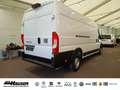 Fiat Ducato Kasten Serie 2 Maxi 35 L4H2 180 AT 6E CARGO PLUS W Weiß - thumbnail 4