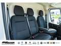 Fiat Ducato Kasten Serie 2 Maxi 35 L4H2 180 AT 6E CARGO PLUS W Белый - thumbnail 12