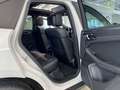 Porsche Macan 2.0/PDK/ACC/360/TW/Pano/20/StdH Bianco - thumbnail 11
