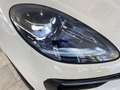 Porsche Macan 2.0/PDK/ACC/360/TW/Pano/20/StdH Bianco - thumbnail 5