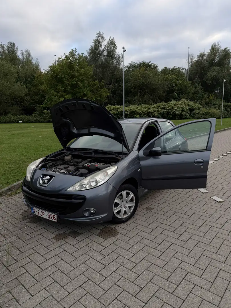 Peugeot 206 206+ - 1