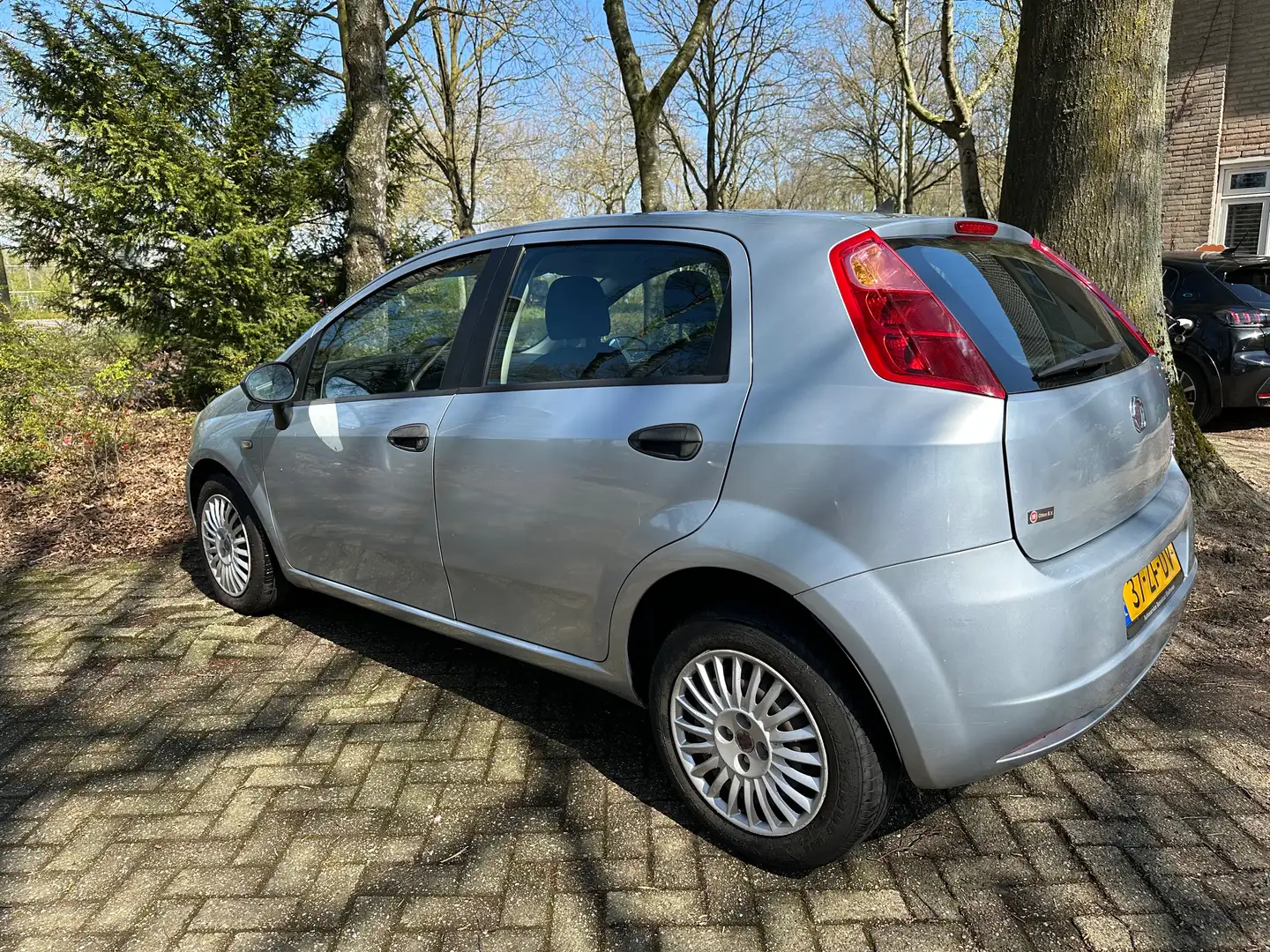 Fiat Punto Punto 1.2 Active Gris - 2