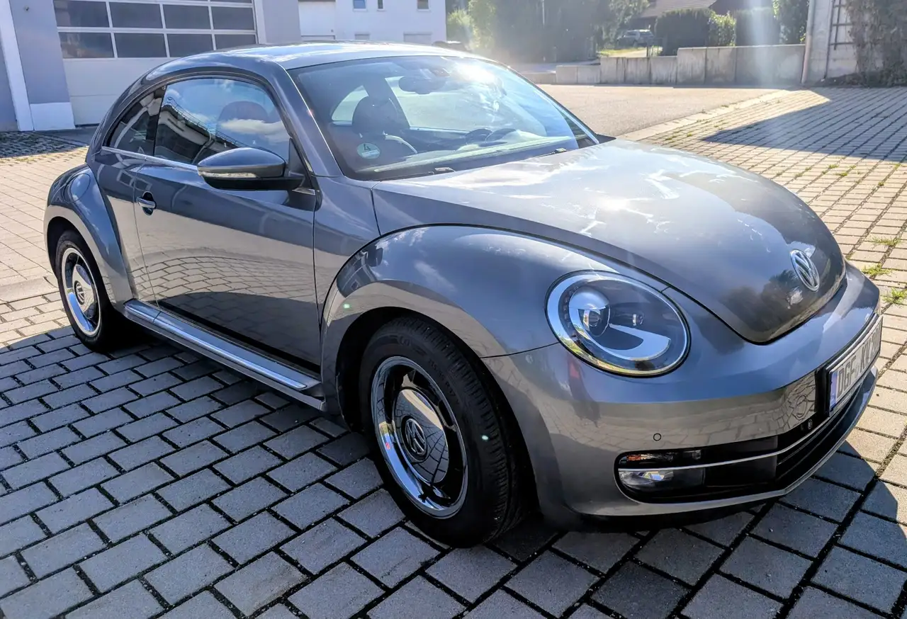 Volkswagen Beetle Cup — photo 1 of 9