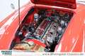 Austin-Healey 3000 BT7 2+2 außergewöhnlicher Zustand Rot - thumbnail 18
