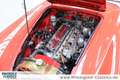 Austin-Healey 3000 BT7 2+2 außergewöhnlicher Zustand Rot - thumbnail 7