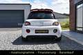Opel Adam S Recaro OPC Performance Euro6 Weiß - thumbnail 5