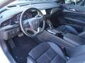 Opel Insignia GS 2,0 CDTI Business Sports Tourer Aut. *TOPAUSST Weiß - thumbnail 8