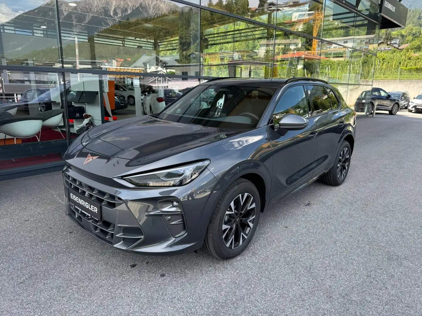 CUPRA Terramar 2.0 TSI 204 PS DSG 4Drive Grau - 1