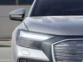 Audi 50 e-tron quattro LED AHK ACC B&O HuD Panoram Grau - thumbnail 8