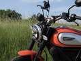 Ducati Scrambler 800 Oranje - thumbnail 2