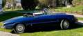 Alfa Romeo Spider Duetto 1600 Blau - thumbnail 2