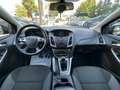 Ford Focus 1.6 120 CV GPL SW Titanium Grigio - thumbnail 10