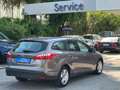 Ford Focus 1.6 120 CV GPL SW Titanium Grigio - thumbnail 6