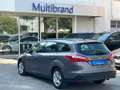 Ford Focus 1.6 120 CV GPL SW Titanium Grigio - thumbnail 5