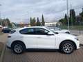Alfa Romeo Stelvio Stelvio 2.2 t 160 Cv AT8 RWD Business PREZZO REALE Weiß - thumbnail 4