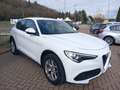 Alfa Romeo Stelvio Stelvio 2.2 t 160 Cv AT8 RWD Business PREZZO REALE Weiß - thumbnail 3