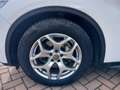 Alfa Romeo Stelvio Stelvio 2.2 t 160 Cv AT8 RWD Business PREZZO REALE Weiß - thumbnail 28