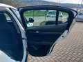 Alfa Romeo Stelvio Stelvio 2.2 t 160 Cv AT8 RWD Business PREZZO REALE Weiß - thumbnail 25