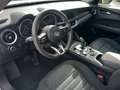 Alfa Romeo Stelvio Stelvio 2.2 t 160 Cv AT8 RWD Business PREZZO REALE Weiß - thumbnail 19