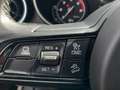 Alfa Romeo Stelvio Stelvio 2.2 t 160 Cv AT8 RWD Business PREZZO REALE Weiß - thumbnail 18