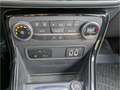Ford EcoSport ST-Line Navi Soundsystem B & O Bi-Xenon Apple CarP Rot - thumbnail 13
