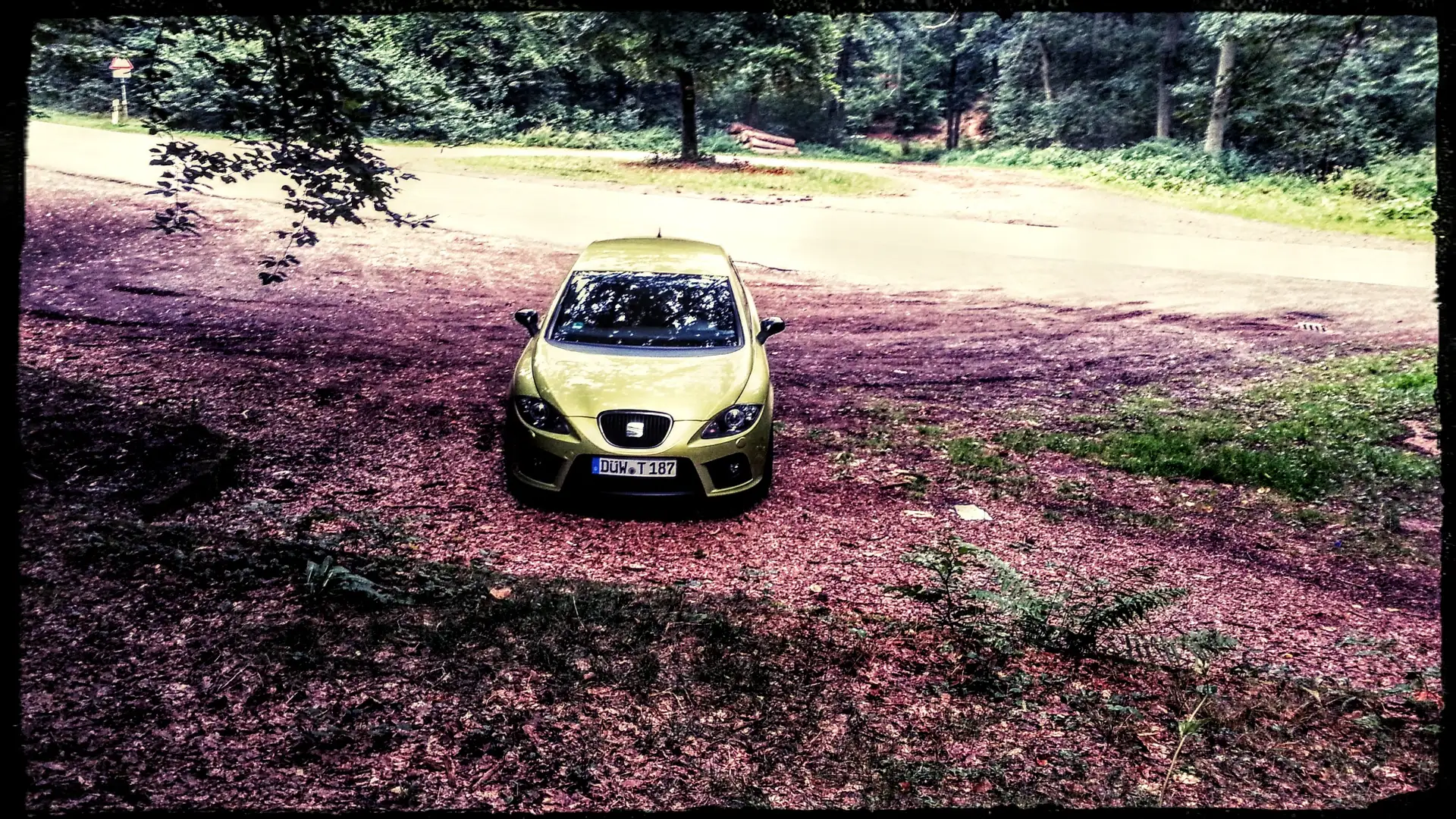 SEAT Leon Leon 2.0 T FSI Cupra Grün - 1