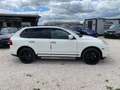 Porsche Cayenne Cayenne I 2002 3.0 tdi V6 tiptronic dpf Bianco - thumbnail 2