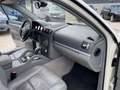Porsche Cayenne Cayenne I 2002 3.0 tdi V6 tiptronic dpf Bianco - thumbnail 14