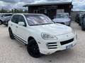 Porsche Cayenne Cayenne I 2002 3.0 tdi V6 tiptronic dpf Bianco - thumbnail 1