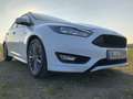 Ford Focus MK 3 ST Line aus 1.Hand Weiß - thumbnail 6