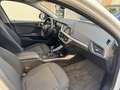 BMW 116 116d Business Blanco - thumbnail 16